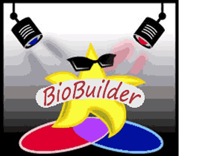 BioBuilder Biography Writing Software
